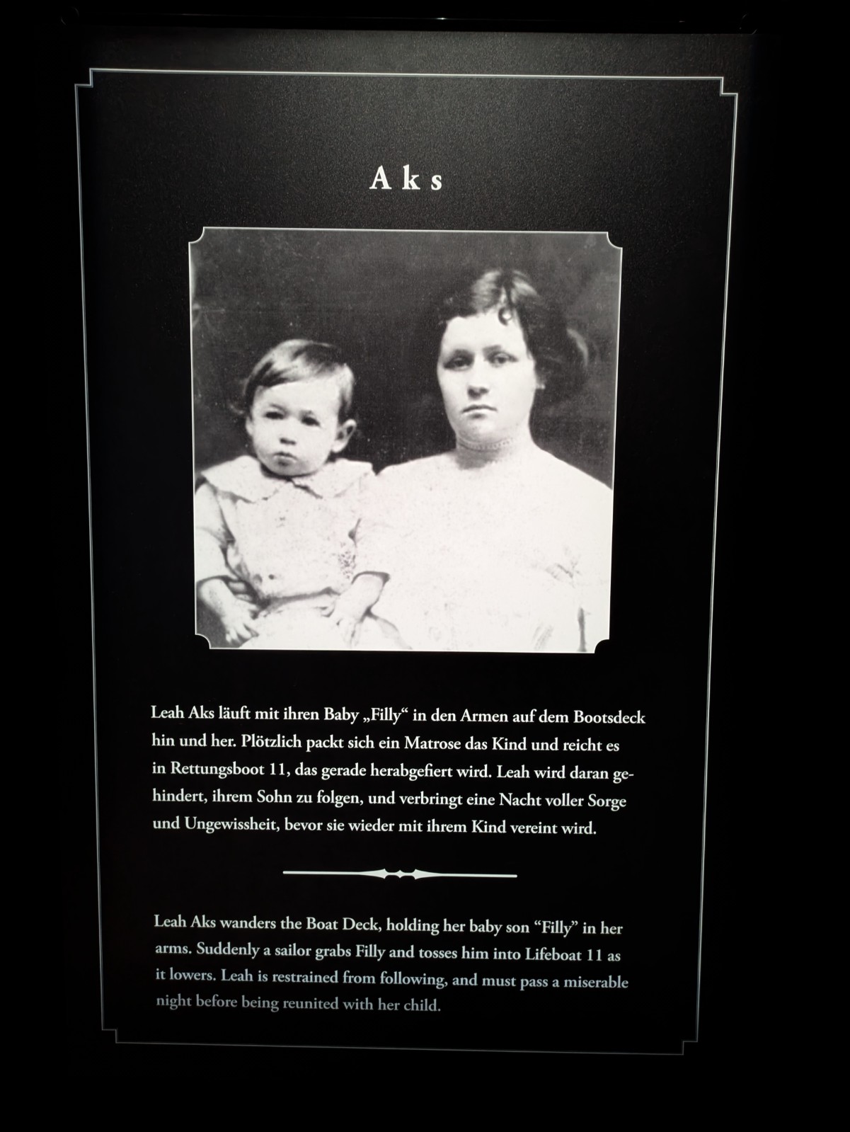 PXL 20241217 115235299.NIGHT